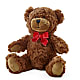 Adorable Plush Bear – Classic Floral, West Fargo ND
