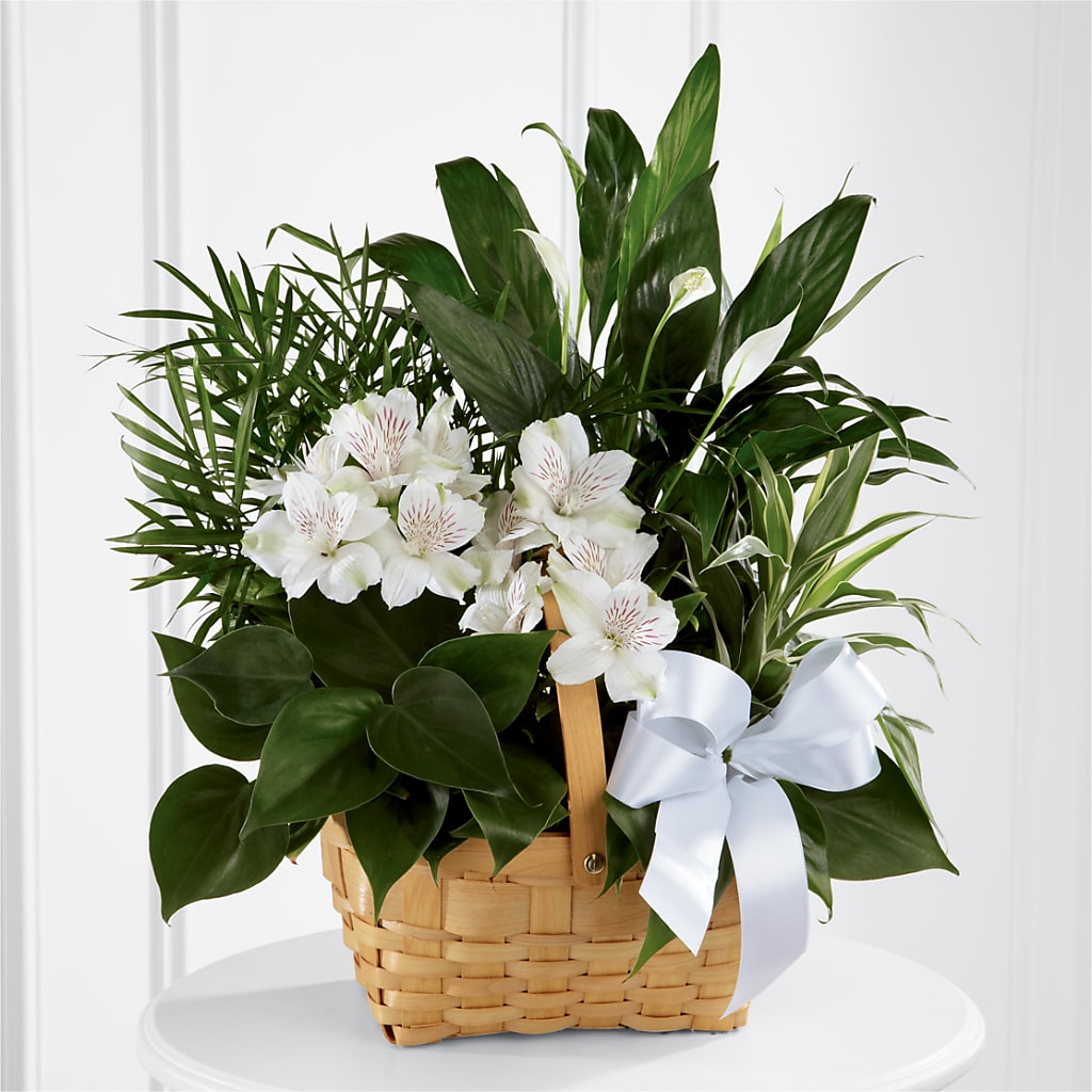 Peace & Serenity Dishgarden – Classic Floral, West Fargo ND