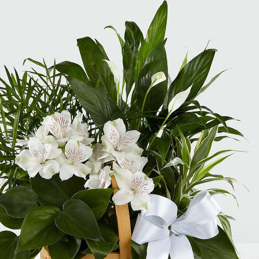 Peace & Serenity Dishgarden – Classic Floral, West Fargo ND