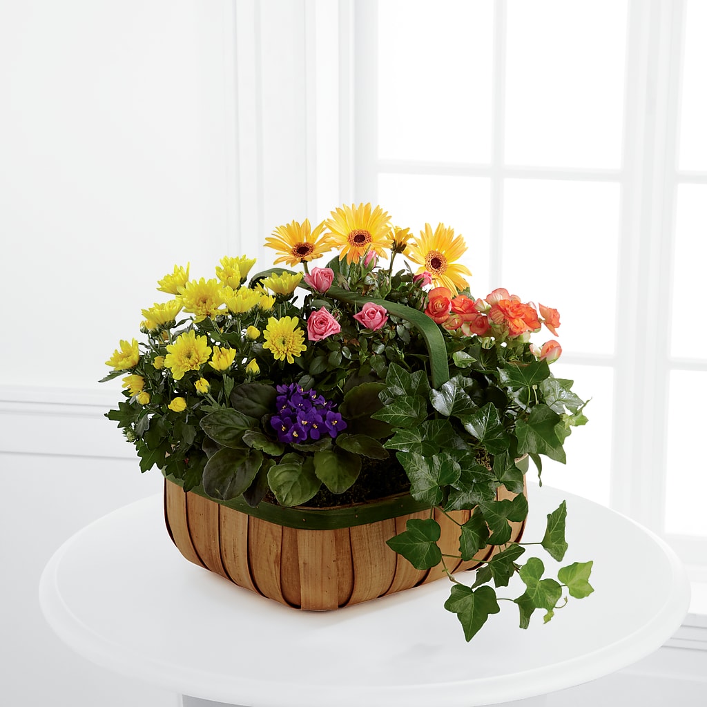 Gentle Blossoms Basket – Classic Floral, West Fargo ND