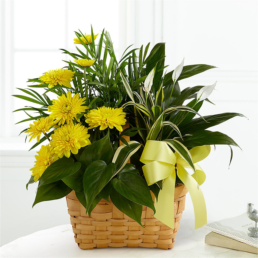 Loving Light Dishgarden – Classic Floral, West Fargo ND