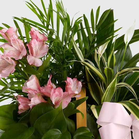 Living Spirit Dishgarden – Classic Floral, West Fargo ND