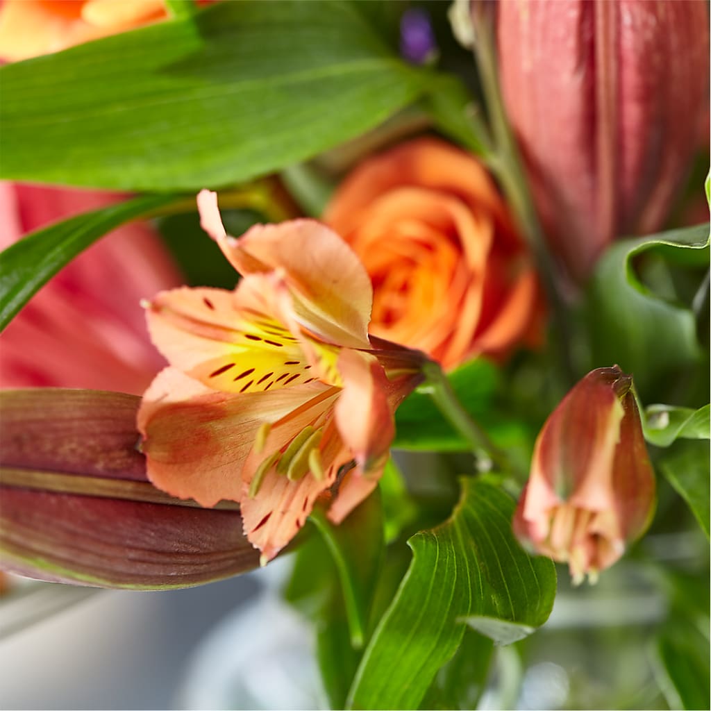 Bold & Bright – A Florist Original –  Classic Floral, West Fargo ND