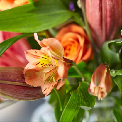 Bold & Bright – A Florist Original –  Classic Floral, West Fargo ND