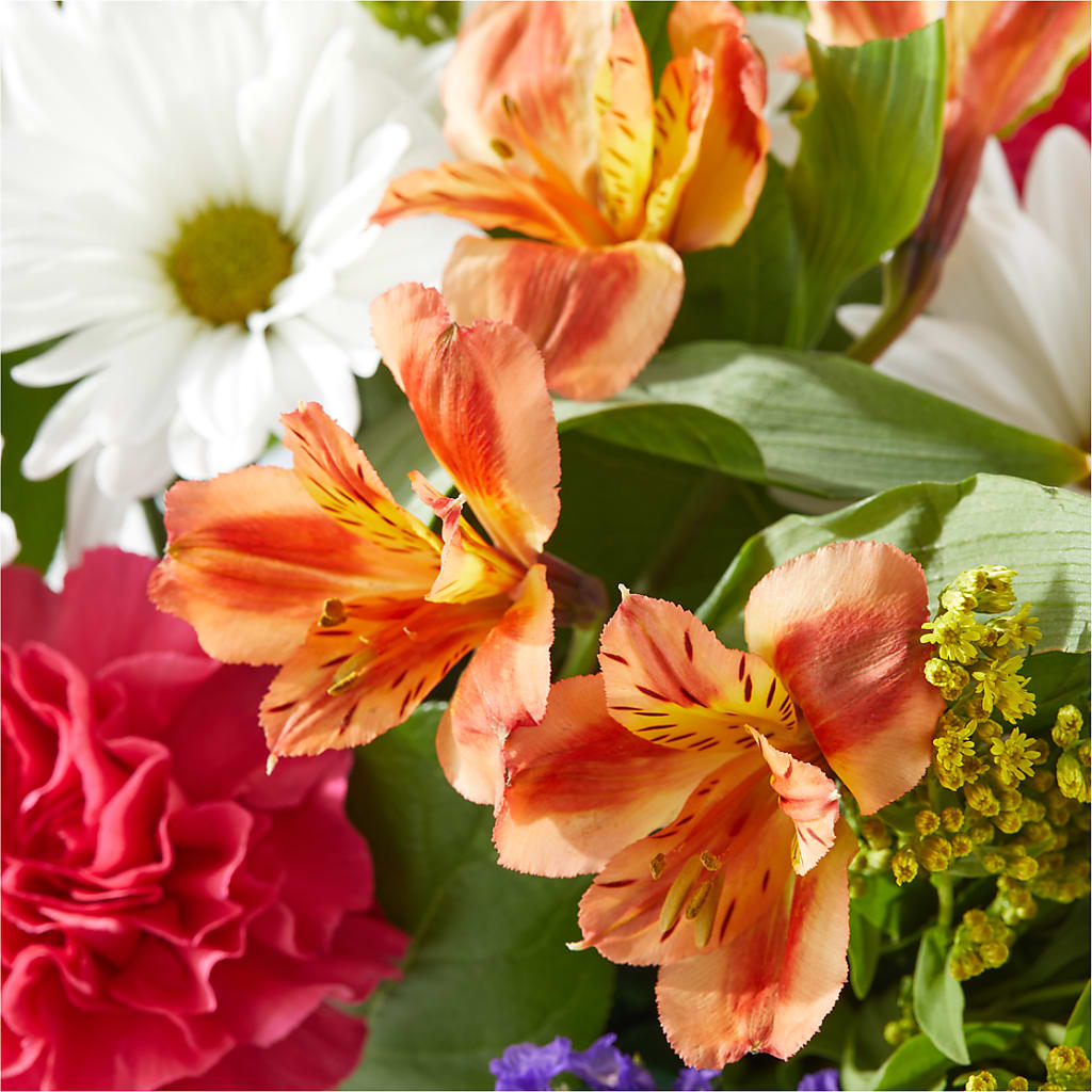 Oopsie Daisy Box Bouquet –  Classic Floral, West Fargo ND