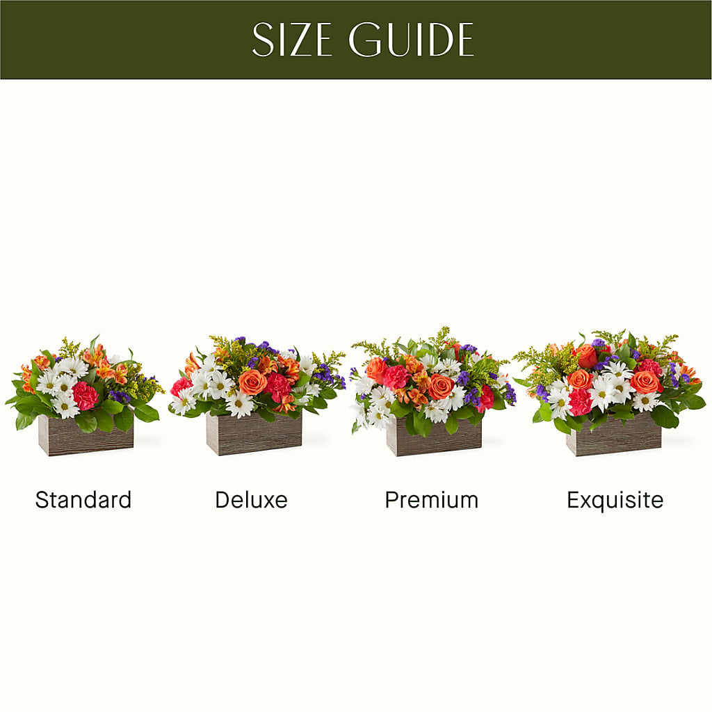Oopsie Daisy Box Bouquet –  Classic Floral, West Fargo ND