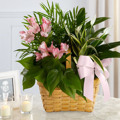 Living Spirit Dishgarden –  Classic Floral, West Fargo ND