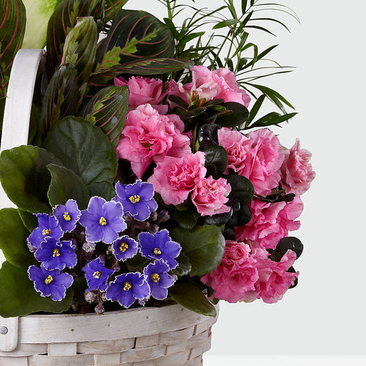 Peaceful Garden Planter –  Classic Floral, West Fargo ND